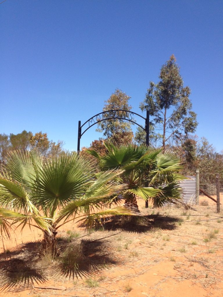 410 Sculthorpe Road, NANGILOC, VIC 3494