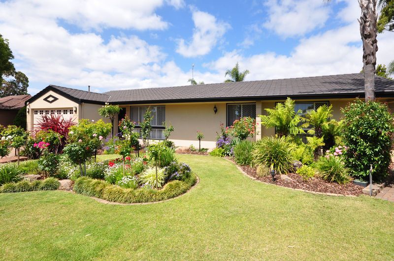 19 Bellaview Road, FLAGSTAFF HILL SA 5159