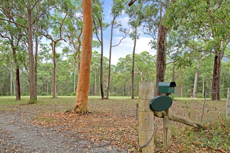 FREEMANS WATERHOLE, NSW 2323 Sold Rural Lifestyle Property Ray