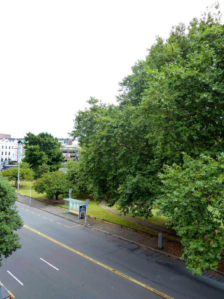 AUCKLAND CENTRAL, Auckland City