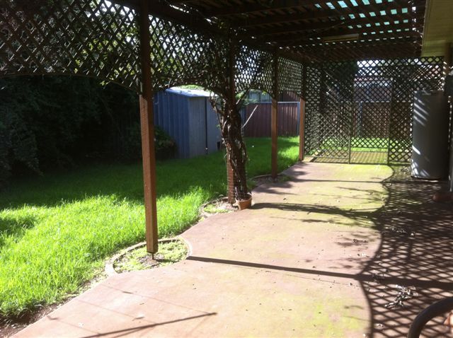 81 Arabain Street, HARRISTOWN, QLD 4350