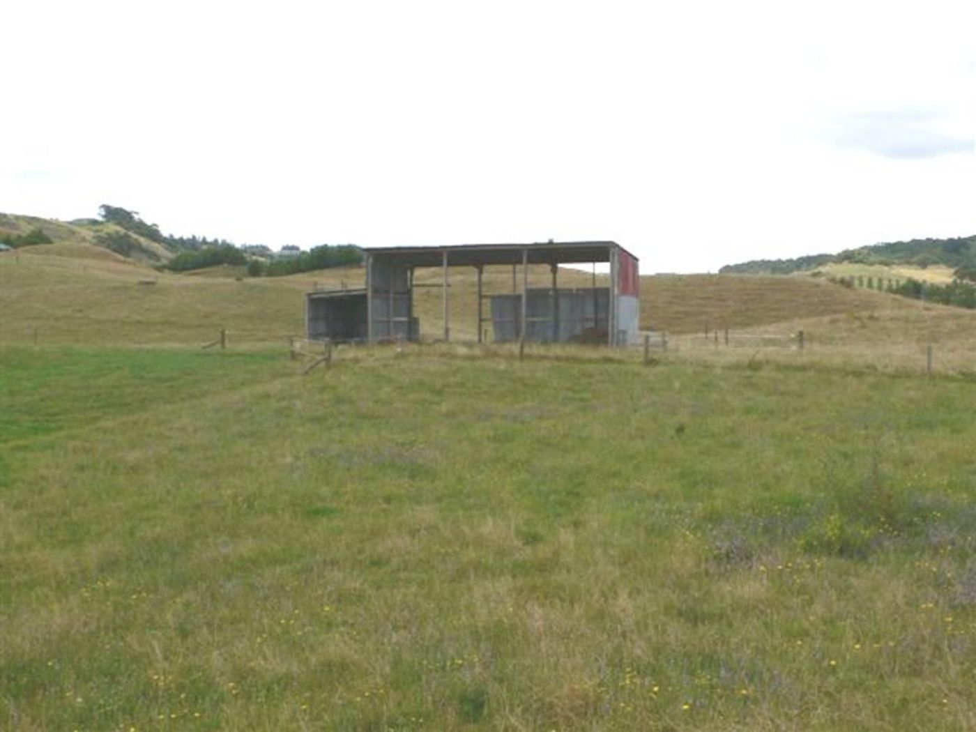 Pukekawa, Waikato District