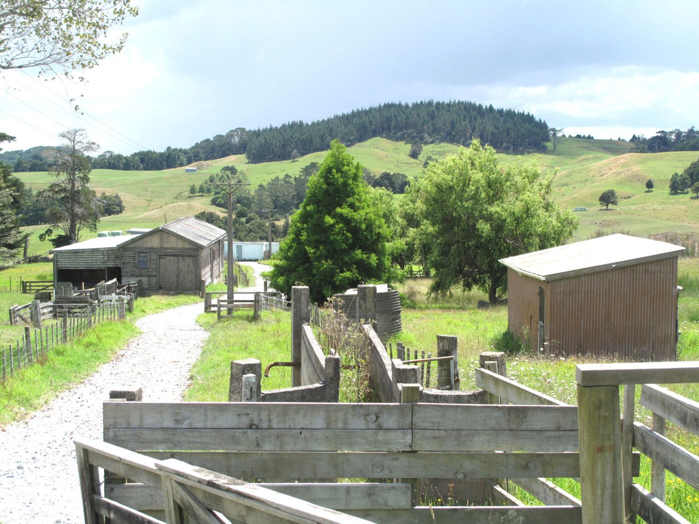 WELLSFORD, Rodney
