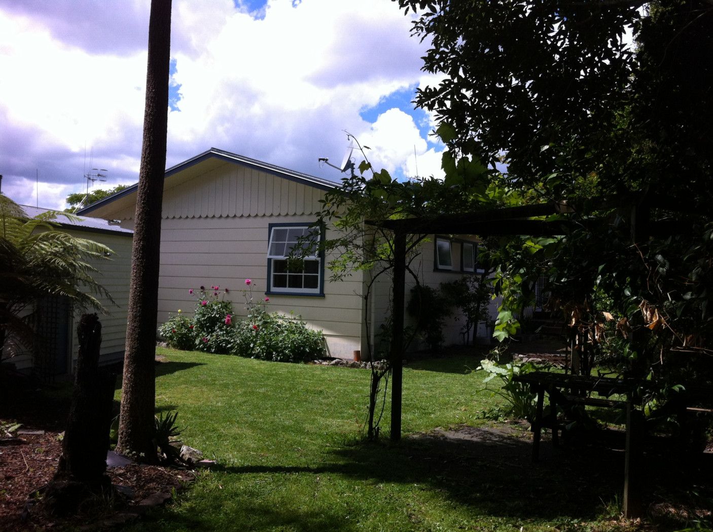 6 Hazelwood Avenue, DINSDALE, Hamilton City