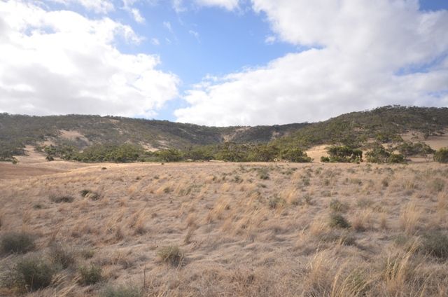 Government Road, SOUTH HUMMOCKS, SA 5550