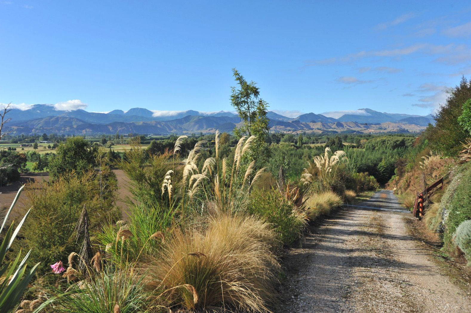 513 Waimea West Road, BRIGHTWATER, Tasman District