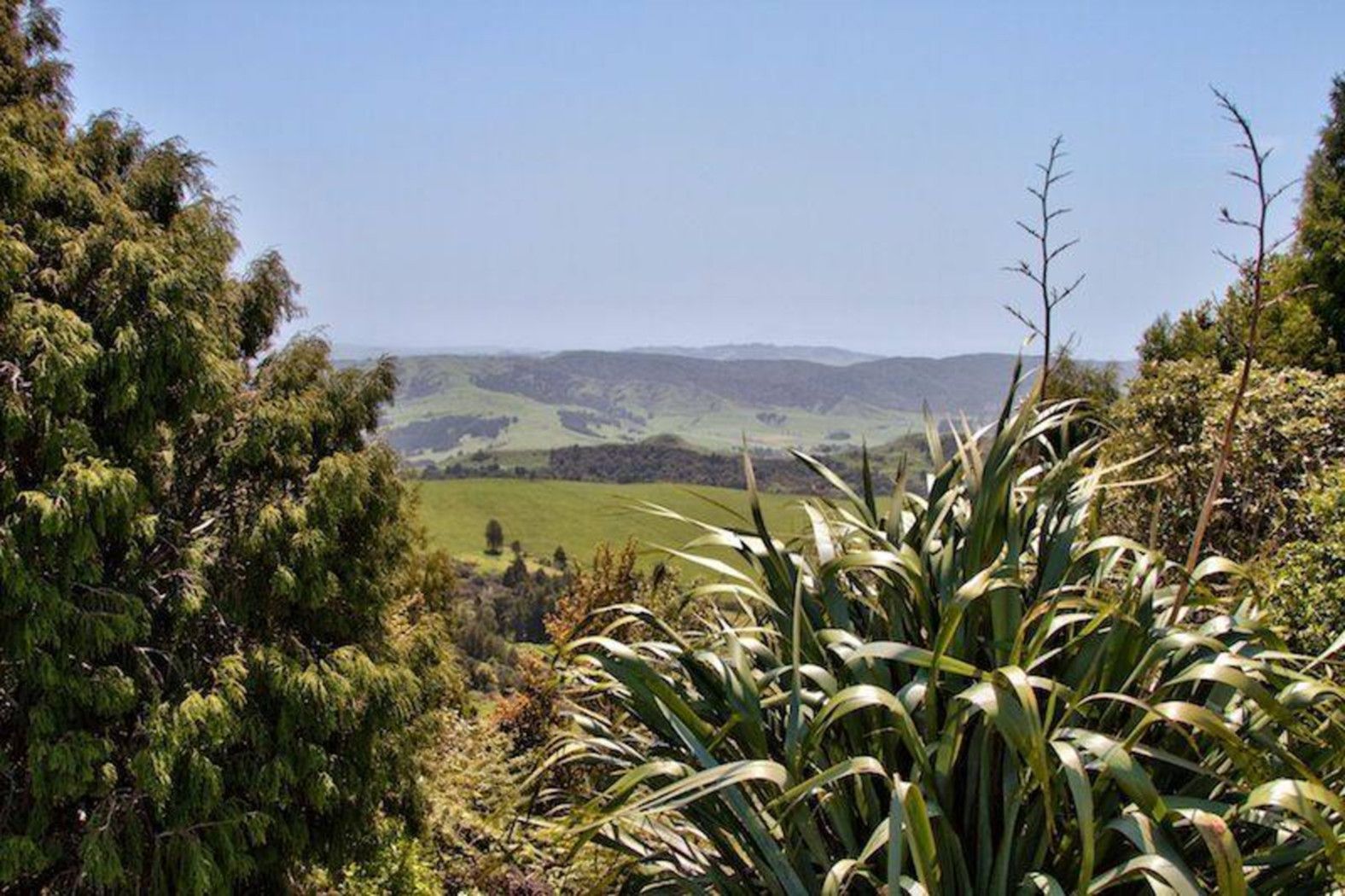 MATAKANA, Rodney