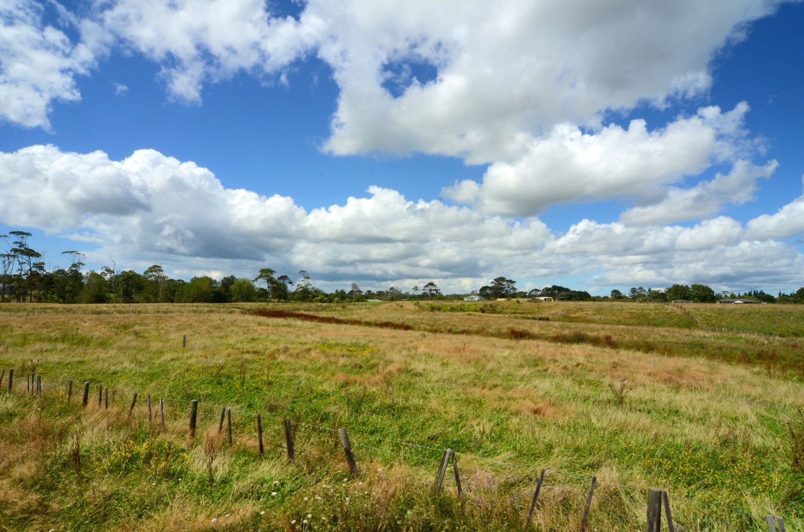 24 Horseshoe Bush Road, DAIRY FLAT, Rodney