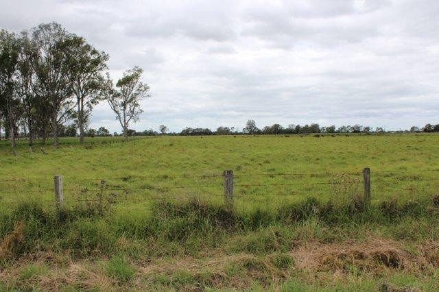 3780 Casino-Coraki Road, GREENRIDGE, NSW 2471