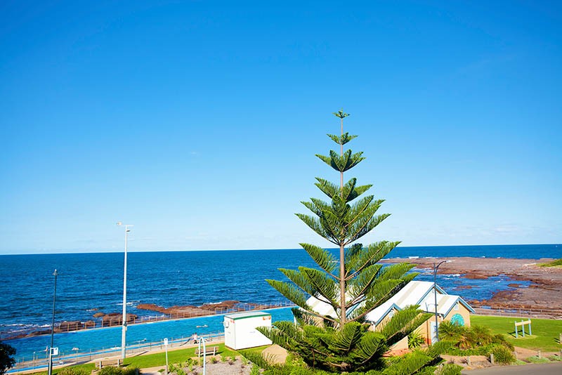 1 Boollwarroo Parade, SHELLHARBOUR, NSW 2529