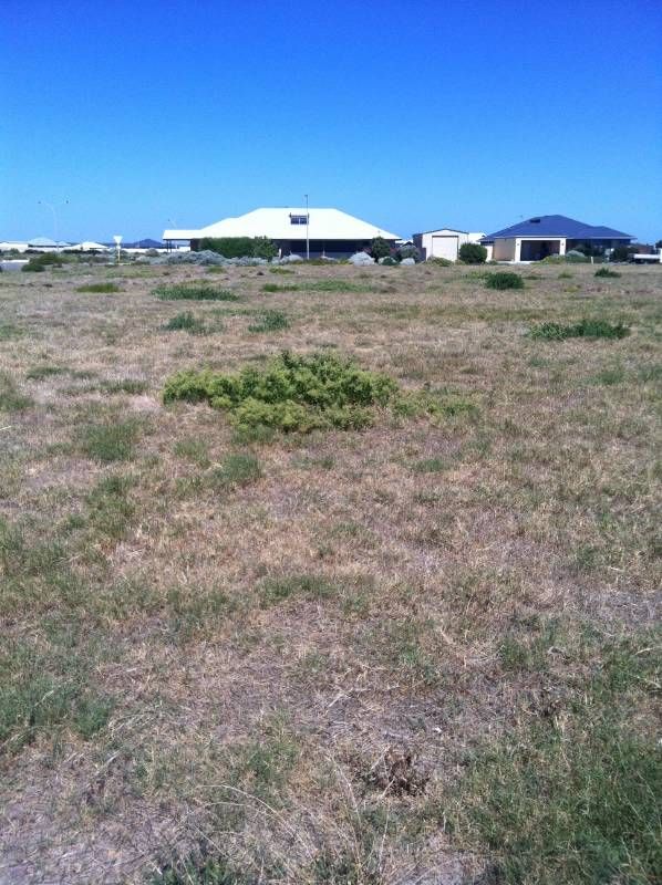 Lot 615, 19 Drosera Way, JURIEN BAY, WA 6516