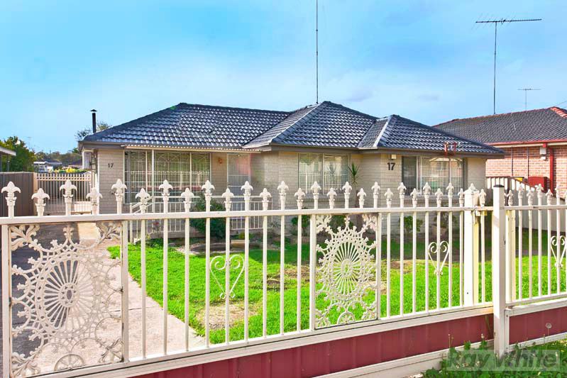 17 Hemphill Avenue, MOUNT PRITCHARD, NSW 2170