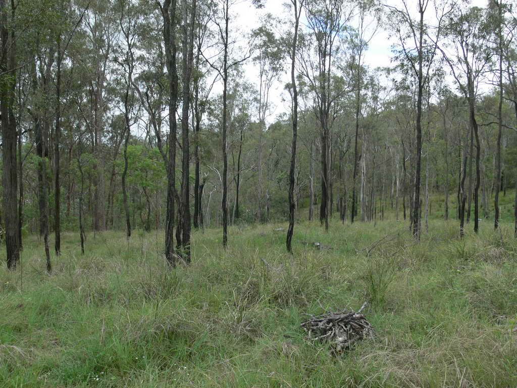 Lot 1 Lakeview Drive, ESK, QLD 4312