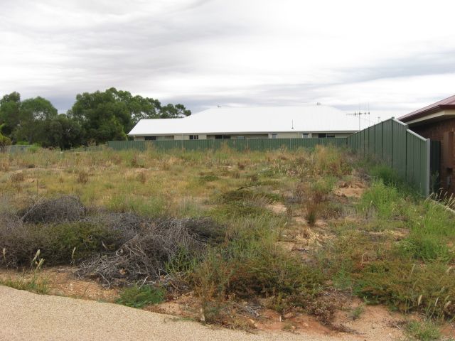 3 McEwen Drive, LOXTON, SA 5333
