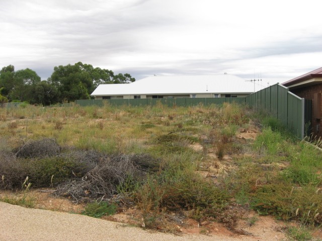 3 McEwen Drive, LOXTON, SA 5333