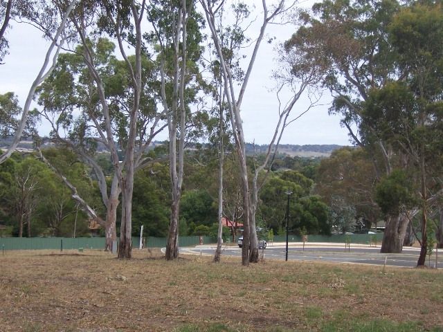7 Jenkinson Drive, MOUNT BARKER, SA 5251
