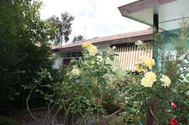 21 Fleming Drive, COROWA NSW 2646