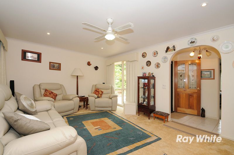29 Fishermans Drive, BLIND BIGHT VIC 3980