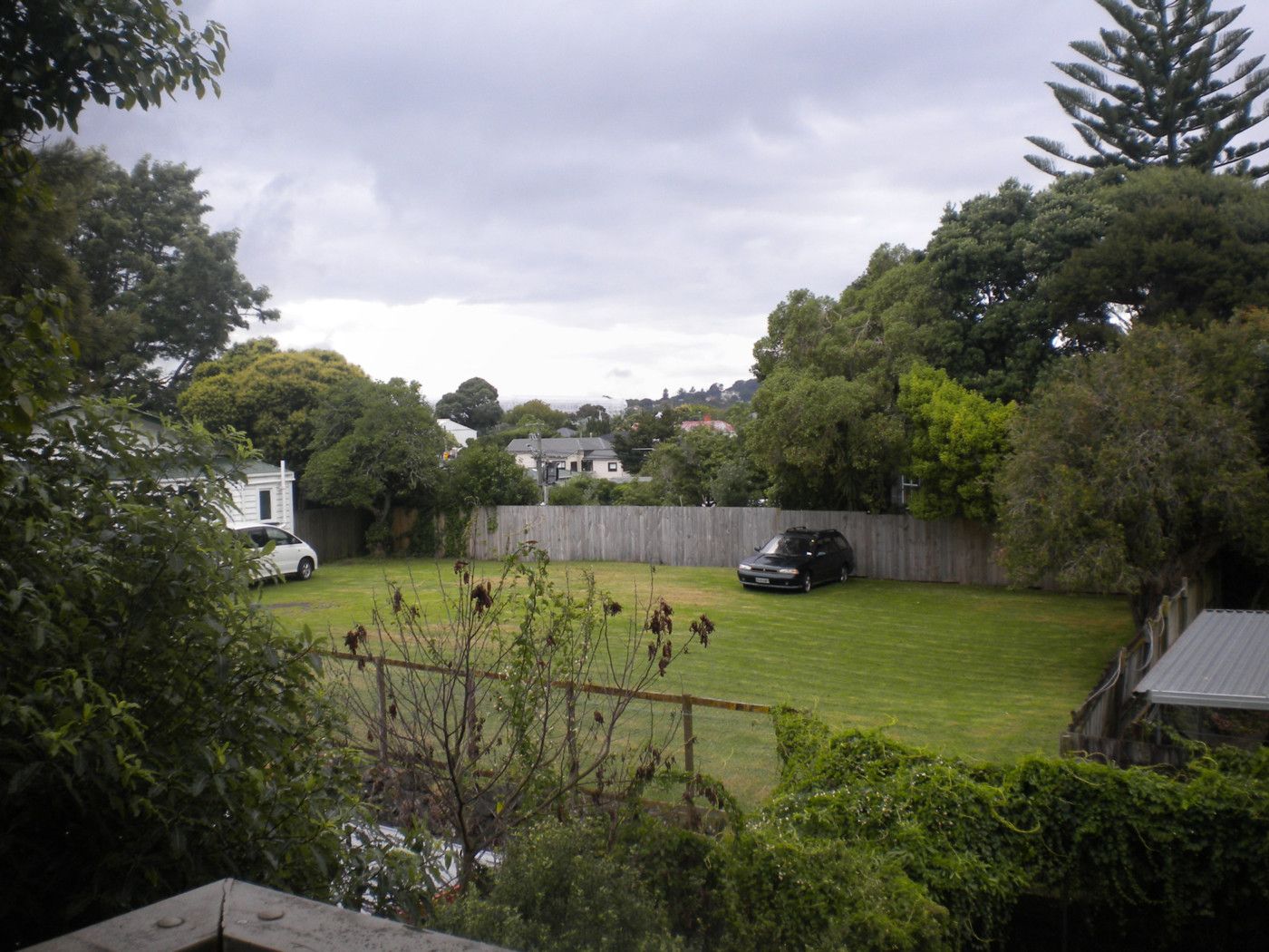 St Lukes, Auckland City