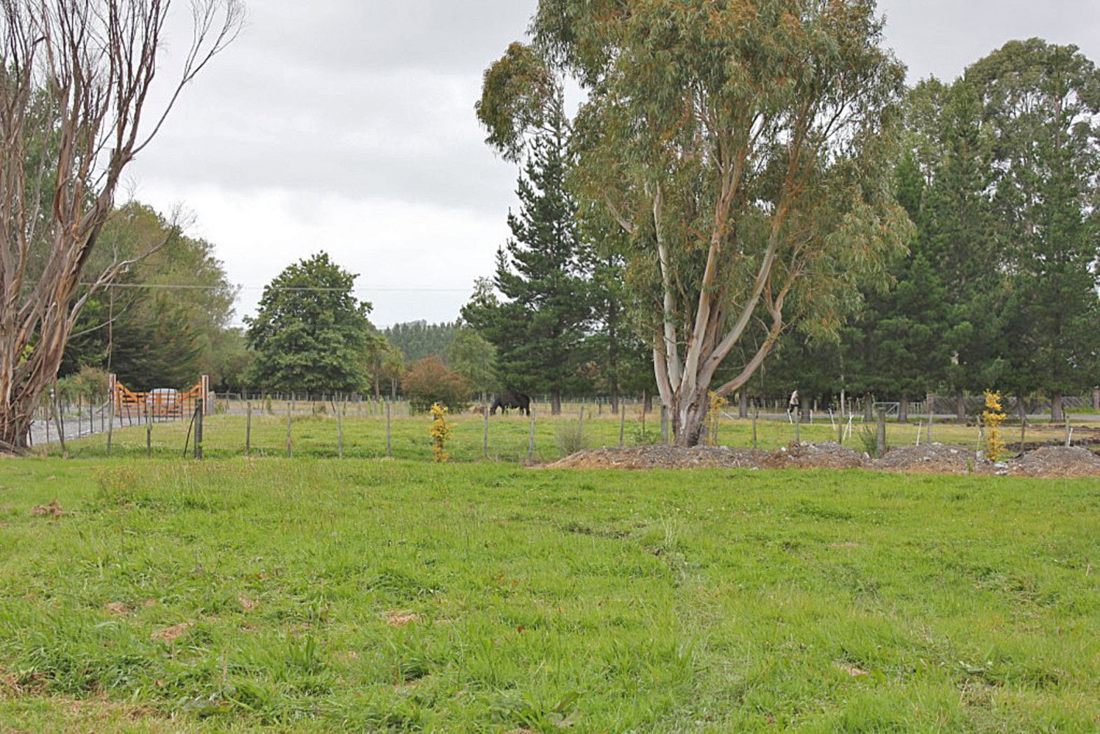 30 Andrew Street, Masterton, Masterton District