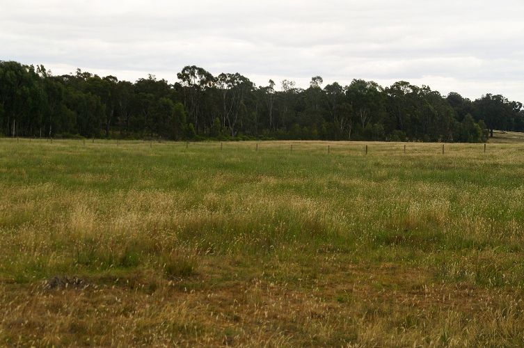 21C Tunnecliffs Lane, HEATHCOTE, VIC 3523