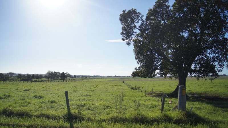 HINTON, NSW 2321