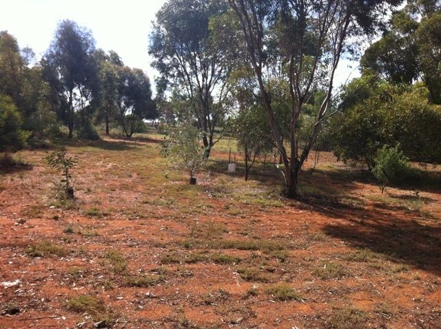20 Truro Street, BURRA, SA 5417