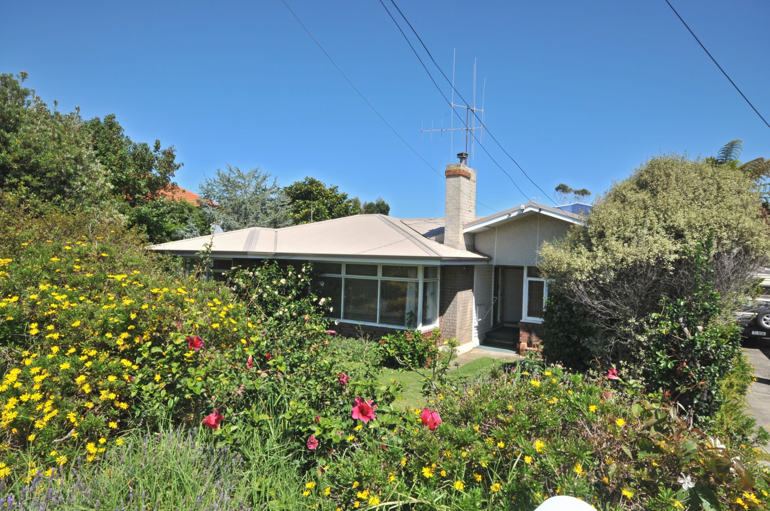 8 Pitau Road, MT MAUNGANUI, Tauranga City
