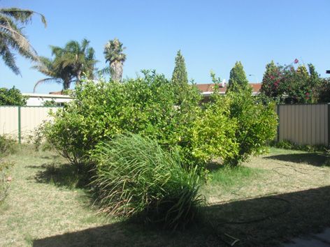 25 Lantana Crescent, DIANELLA, WA 6059