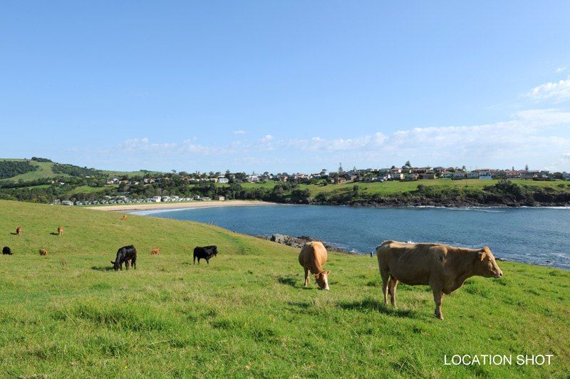 65 Attunga Avenue, KIAMA HEIGHTS, NSW 2533