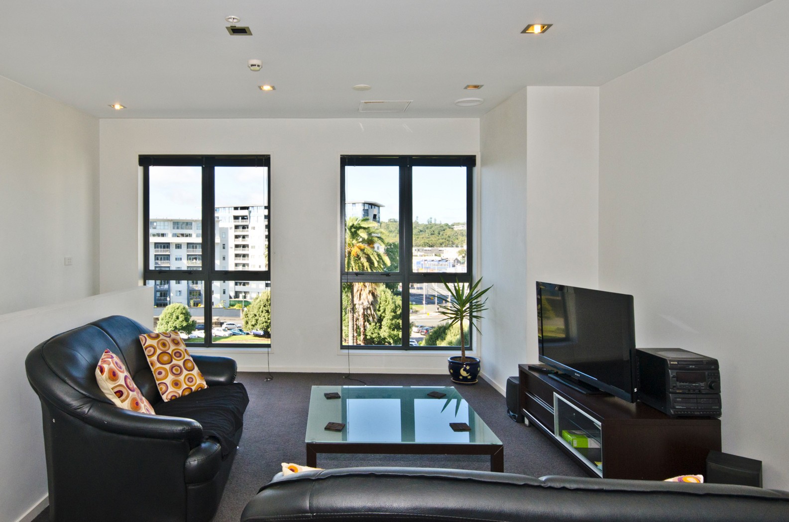 AUCKLAND CENTRAL, Auckland City
