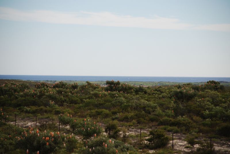 Lot 313  Emma Court, JURIEN BAY, WA 6516