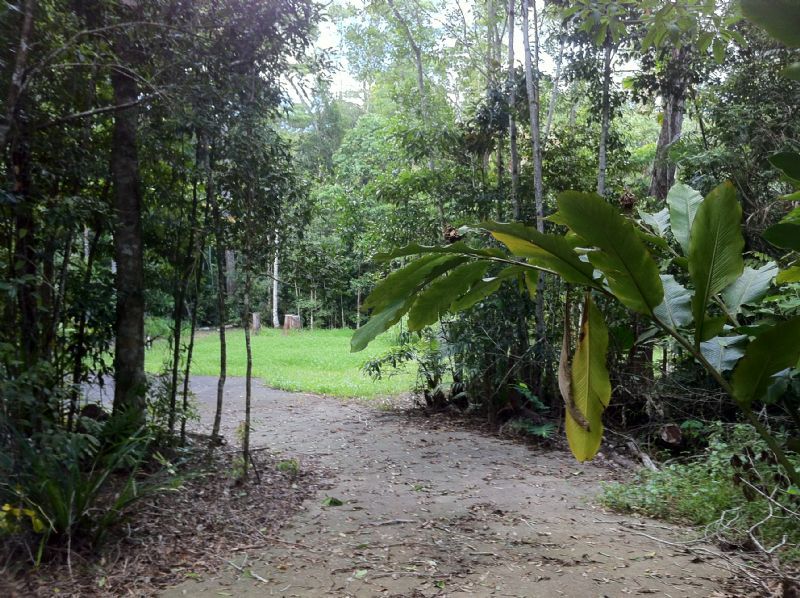 KURANDA, QLD 4881