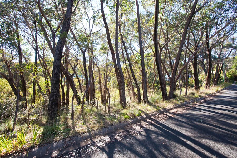62 Godson Avenue, BLACKHEATH, NSW 2785