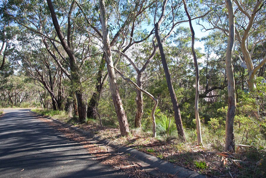 63 Bettington Road, BLACKHEATH, NSW 2785