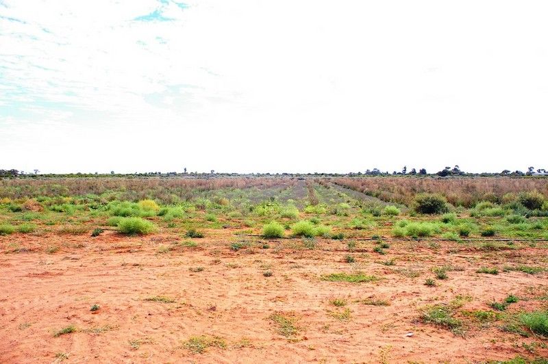 LOT 45 Ibis Road, RENMARK, SA 5341