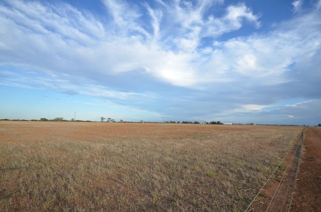 Powerline Road, LONG PLAINS, SA 5501