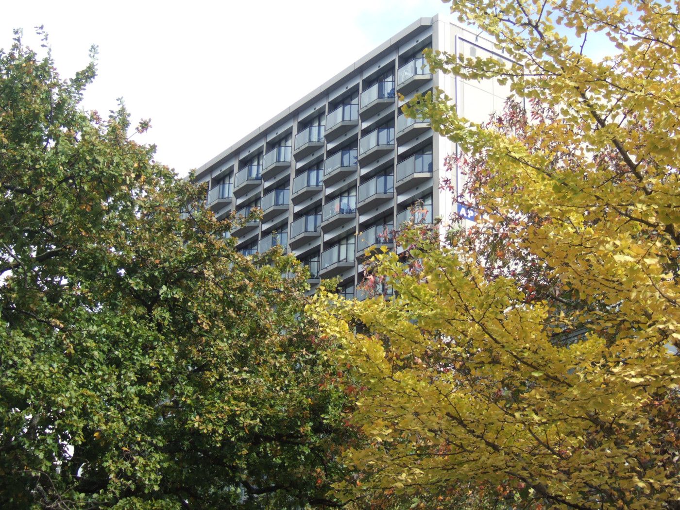 AUCKLAND CENTRAL, Auckland City