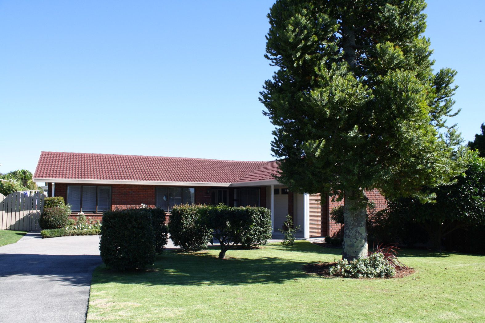 133 Kings Avenue, MATUA, Tauranga City