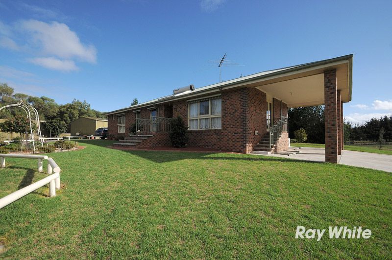 135 Warneet Road, BLIND BIGHT, VIC 3980
