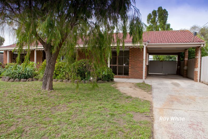 31 Clarendon Drive, SOMERVILLE, VIC 3912