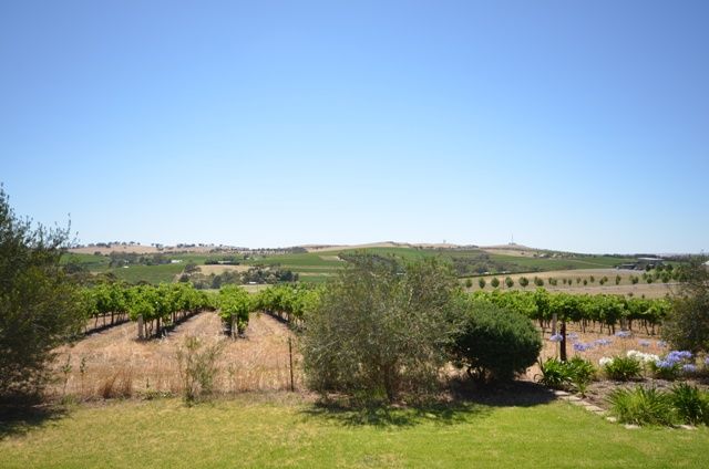 Lot 367 Government Road, LEASINGHAM, SA 5452