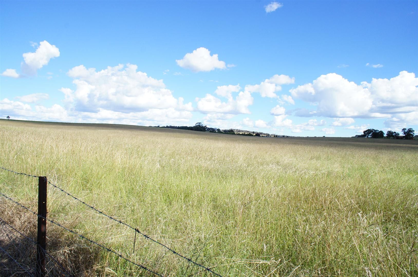 0 Eurimbla Road, CUMNOCK, NSW 2867