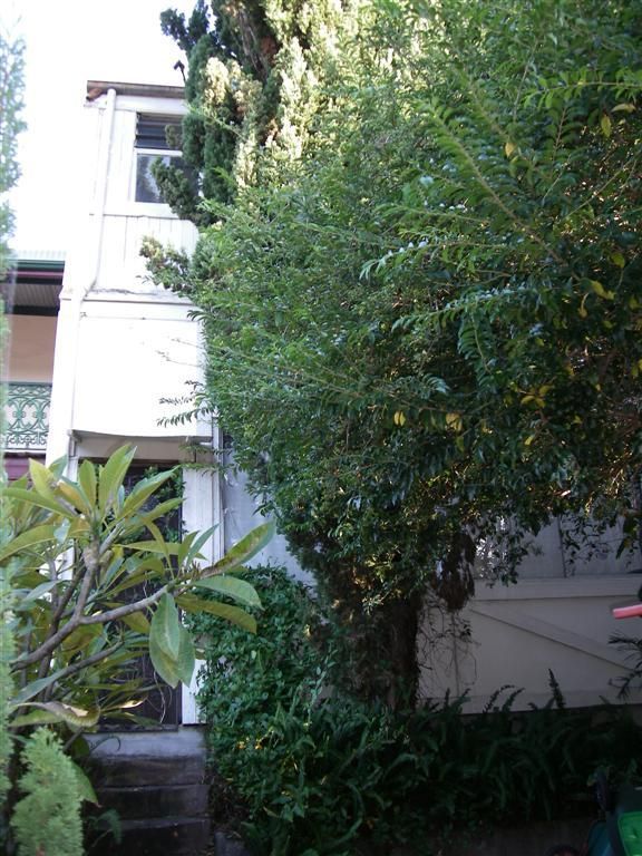 243 TRAFALGAR Street, STANMORE NSW 2048