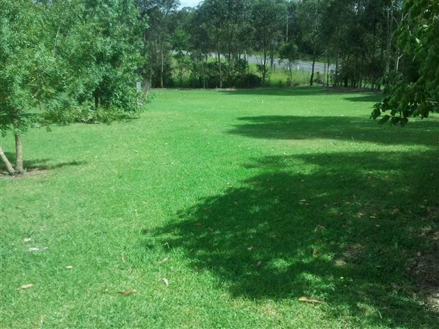 MORISSET, NSW 2264