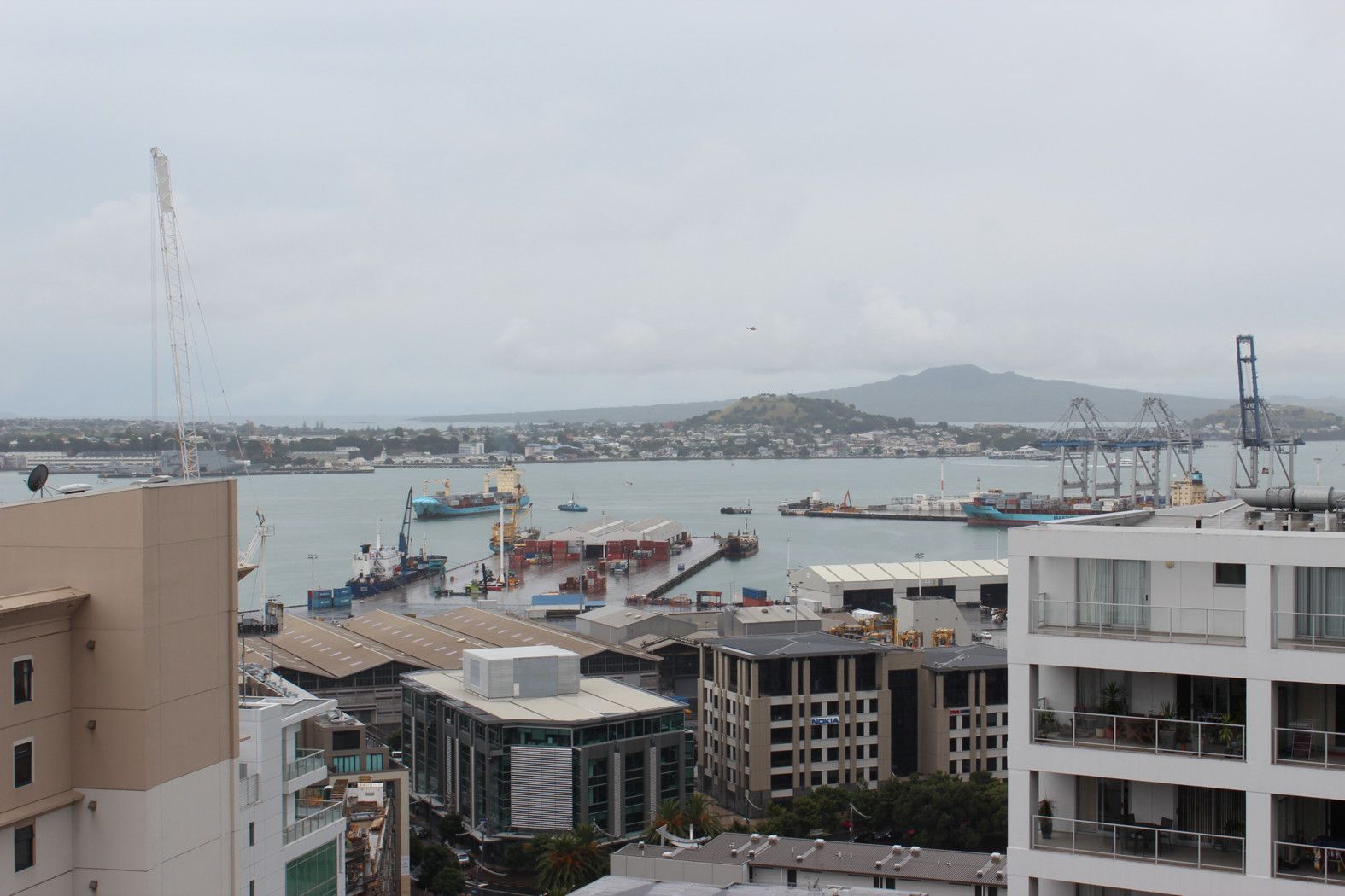 AUCKLAND CENTRAL, Auckland City