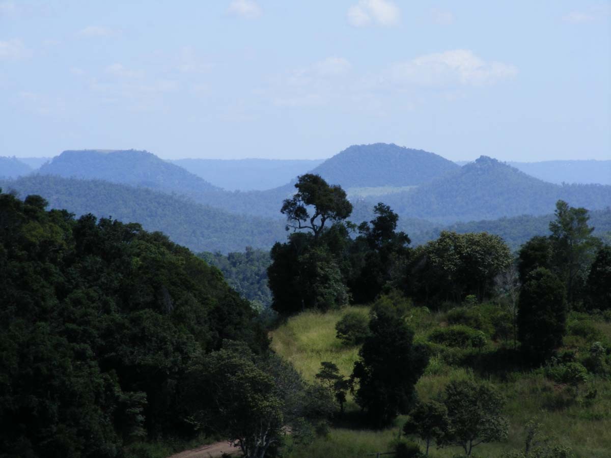 395 Sawpit Gully Road, ROCKMOUNT, QLD 4344