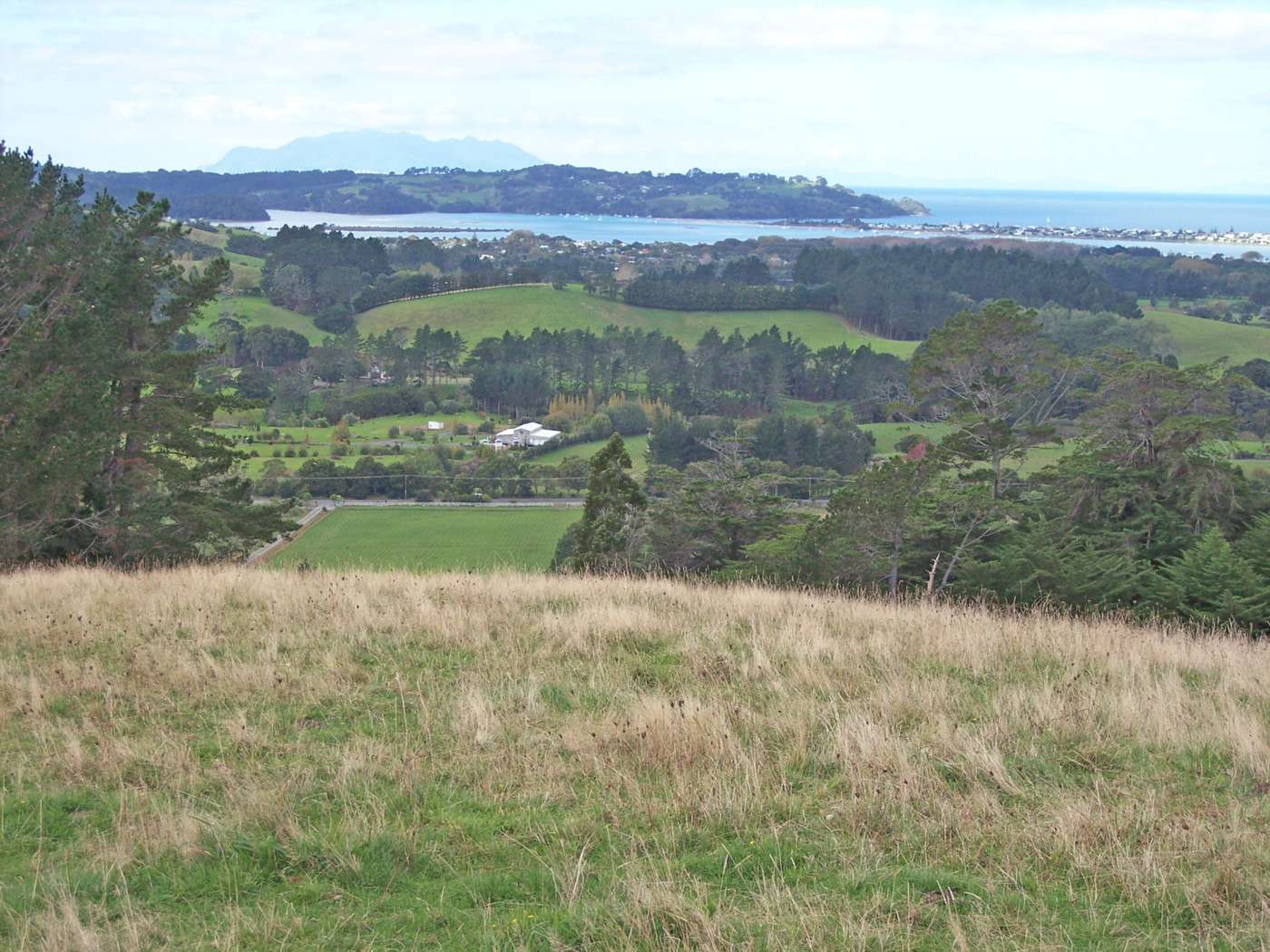 MATAKANA Rodney 0985, Matakana, Rodney Real Estate Ray White New