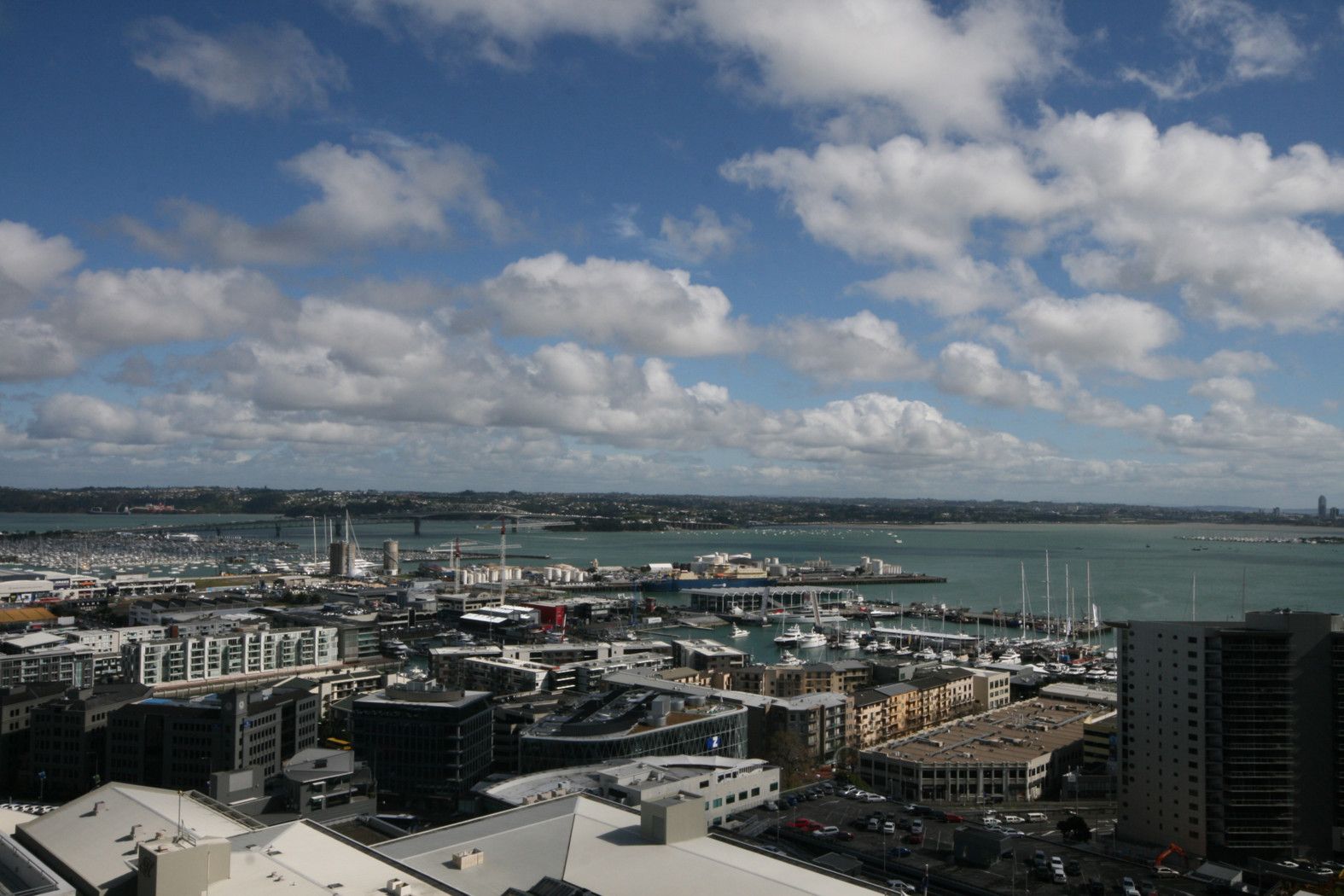AUCKLAND CENTRAL, Auckland City