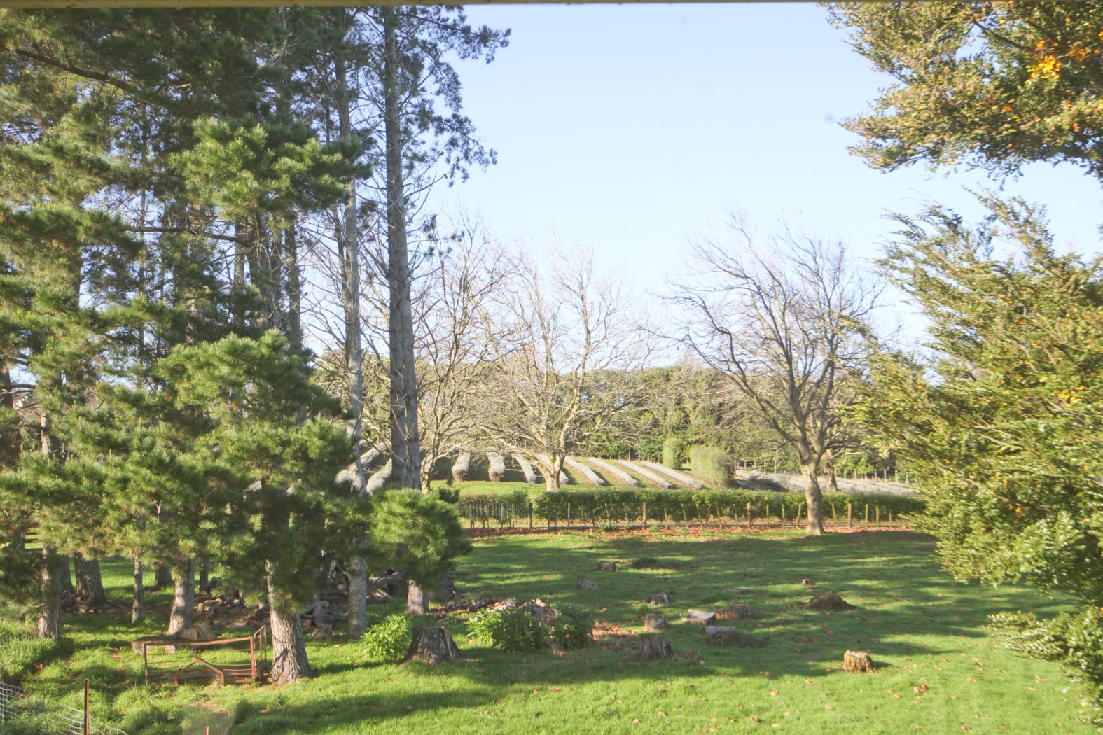 6 Goile Road, Koromatua, Waipa District